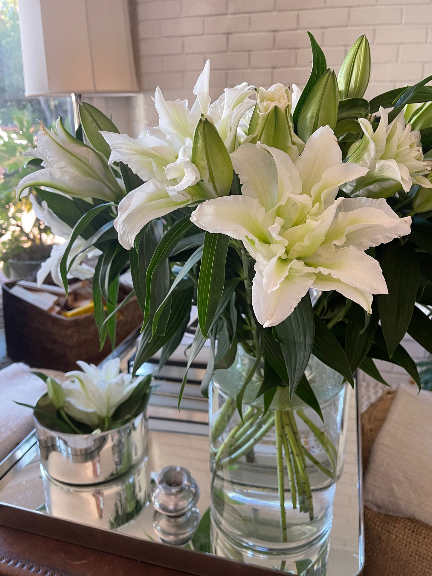 Winter Lily Icon Vine and Bloom