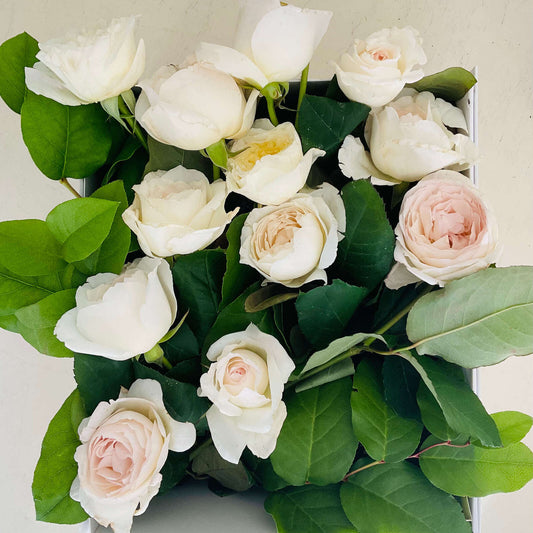 La Vie En Rose