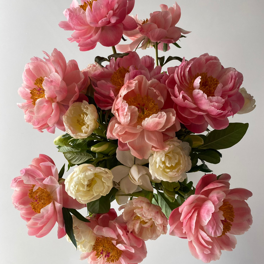Summer Peony Vine & Bloom Box