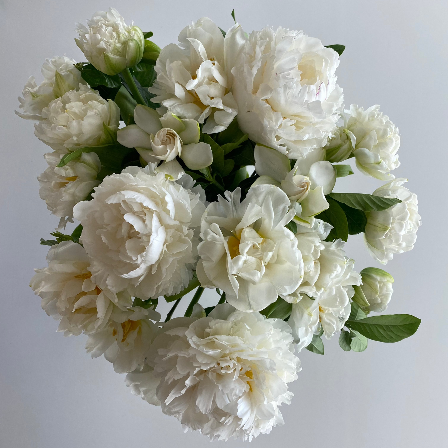 Summer Peony Vine & Bloom Box