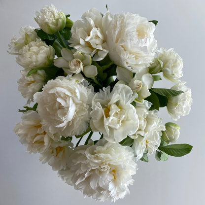 Summer Peony Vine & Bloom Box