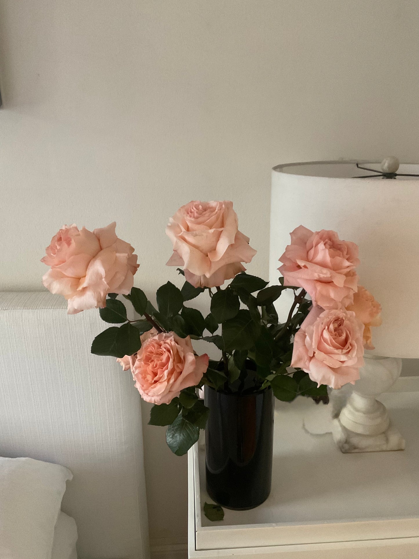 Language of Love Icon Vine & Bloom