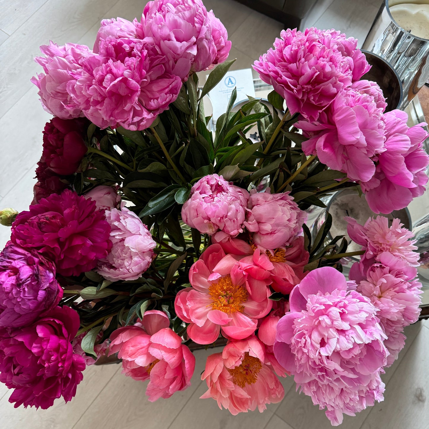 Summer Peony Vine & Bloom Box