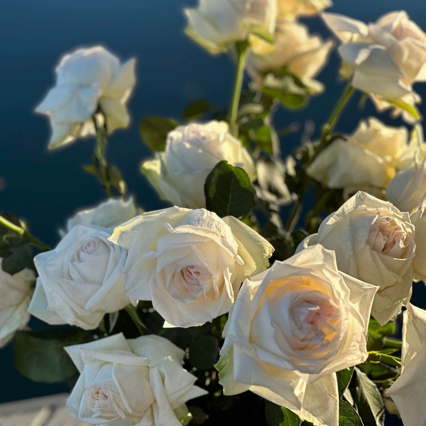 La Vie En Rose Icon Tall