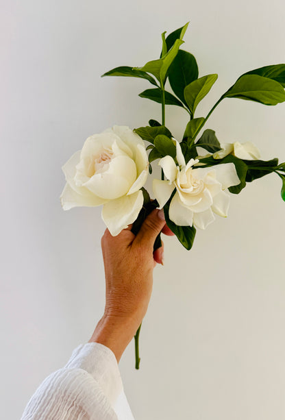 Language of Love Icon Vine & Bloom