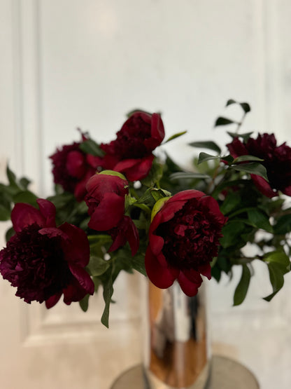 Bellissima Peony Vine and Bloom Box