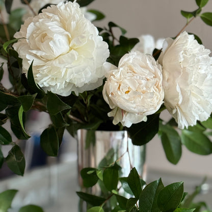 Summer Peony Vine & Bloom Box