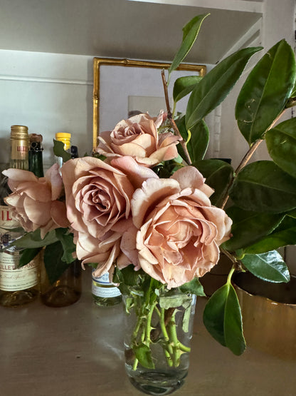 Language of Love Icon Vine & Bloom