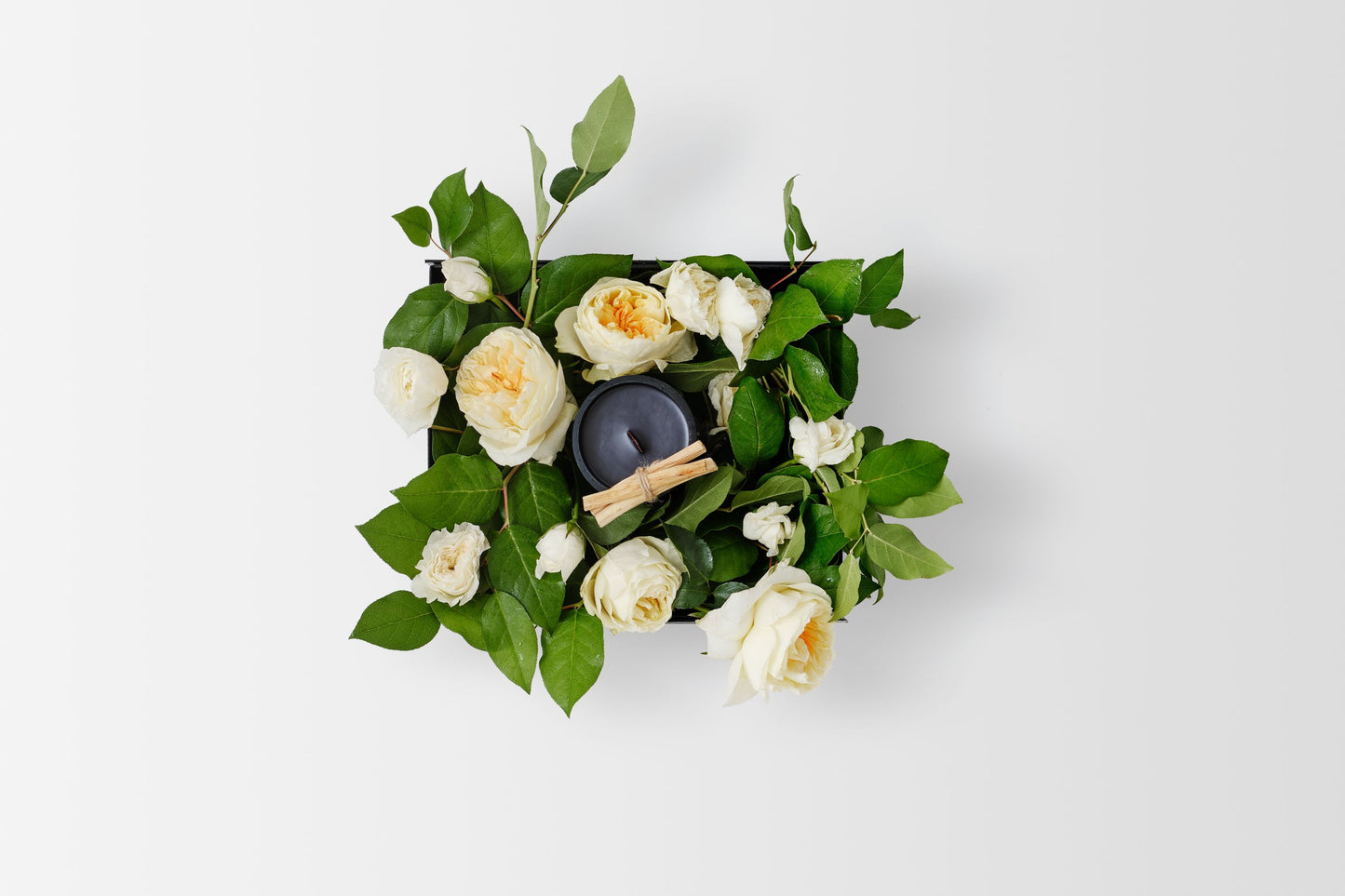 La Vie En Rose Medium Campfire