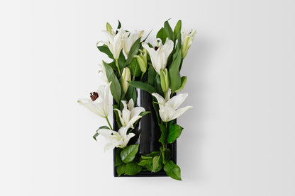 Winter Lily Icon Vine and Bloom