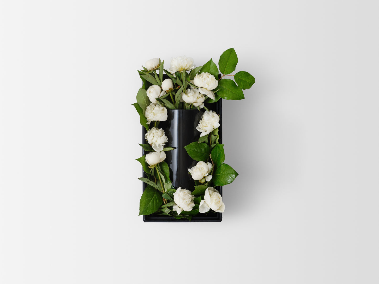 Bellissima Peony Vine and Bloom Box