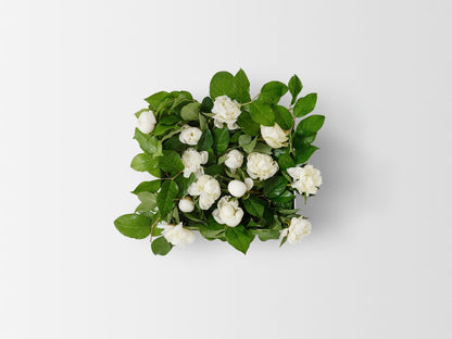 Fall Peony Vine and Bloom Box