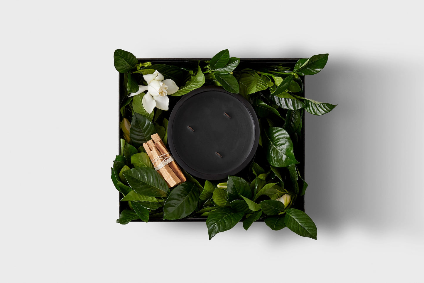 GRANDE WIDE WICK "CAMPFIRE" VINE & BLOOM BOX