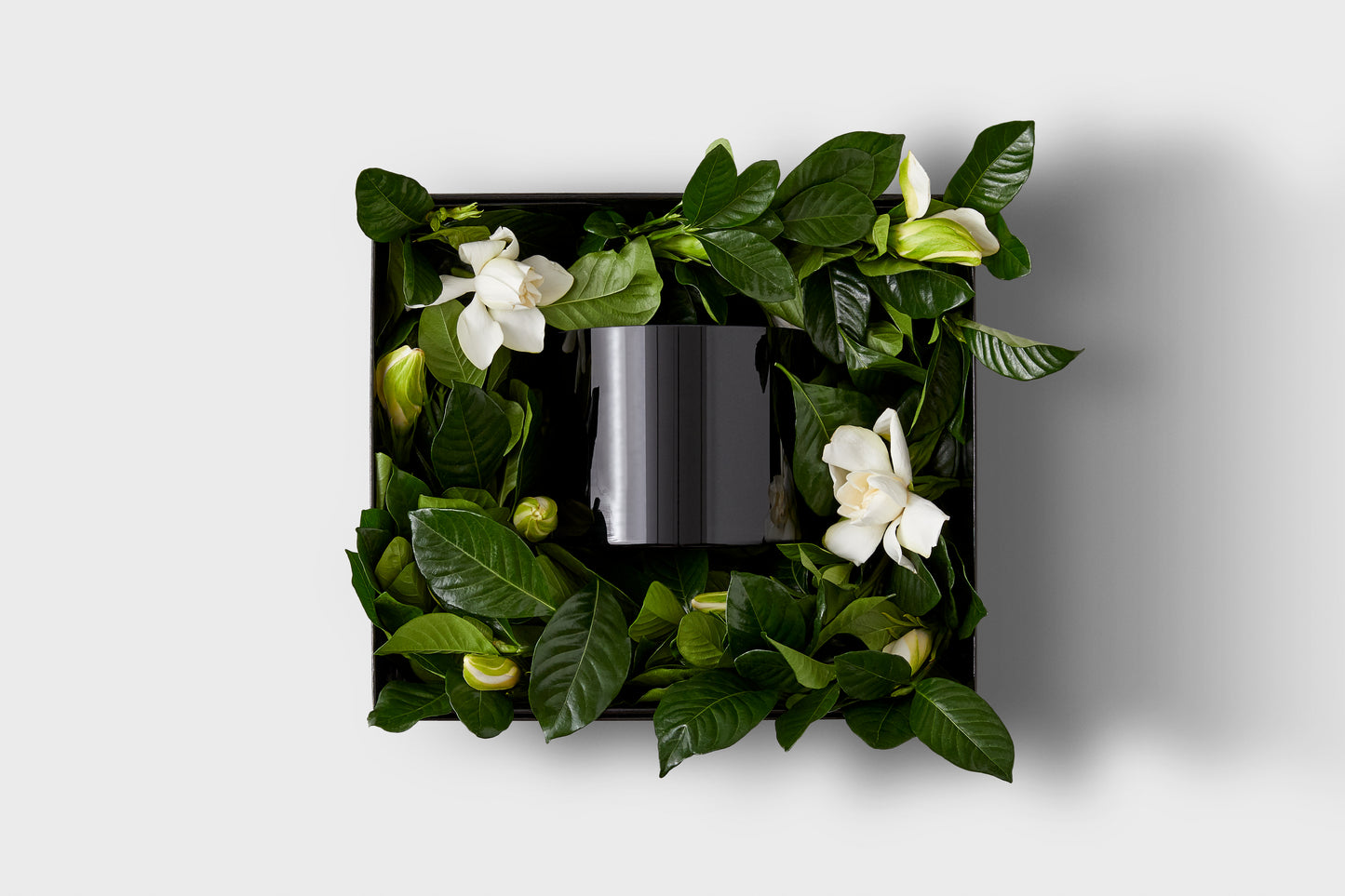 The Siren Vine & Bloom Vase Box