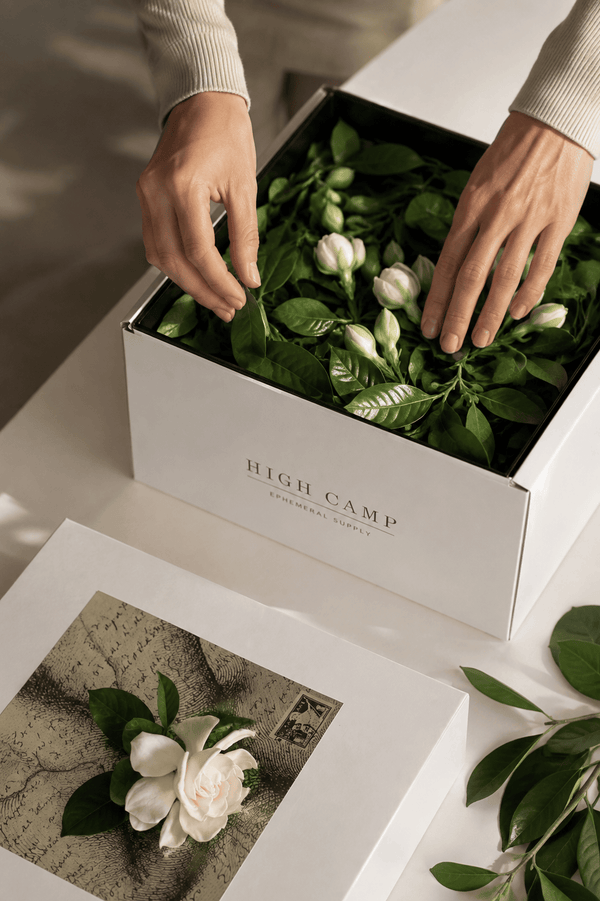 Packaged With Care In Signature Luxury Packaging