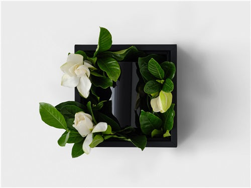 The Muse Vine & Bloom Vase Box