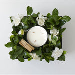 GRANDE WIDE WICK "CAMPFIRE" VINE & BLOOM BOX
