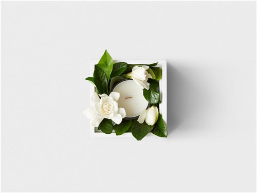 The Muse Vine & Bloom Candle Box