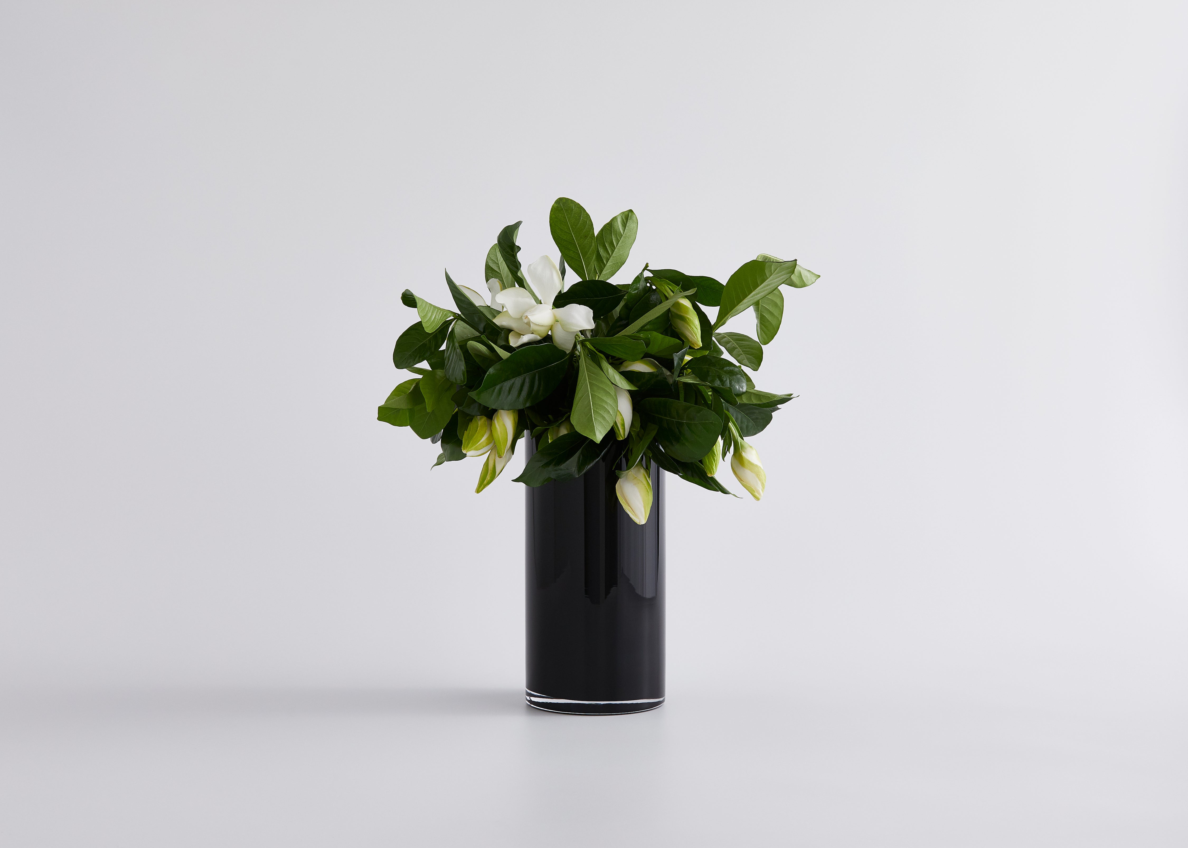 Leading Lady Vine & Bloom Vase Box