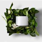 ICON VINE & BLOOM BOX