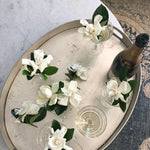 Floating Bloom Box