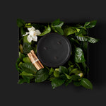 GRANDE WIDE WICK "CAMPFIRE" VINE & BLOOM BOX
