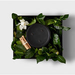 GRANDE WIDE WICK "CAMPFIRE" VINE & BLOOM BOX