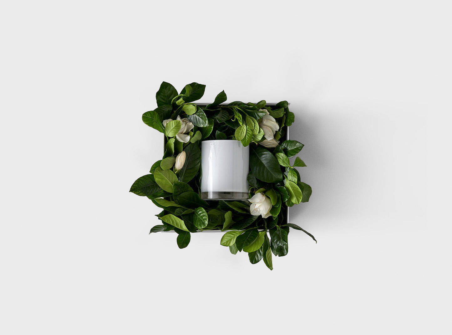 Icon Garden Length Vine & Bloom Box