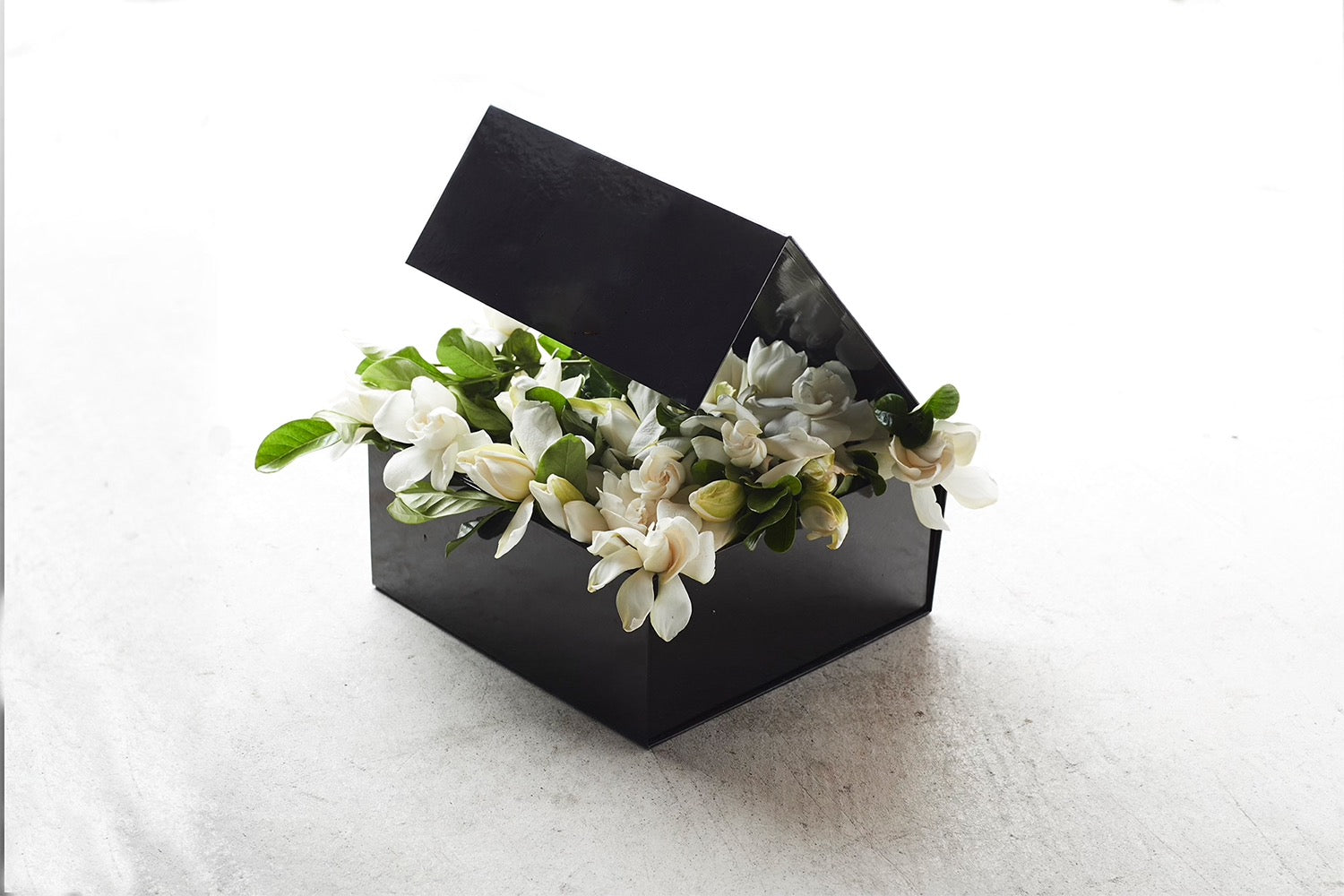 DELUXE VINE & BLOOM BOX Prepaid Subscription // Bi-Weekly